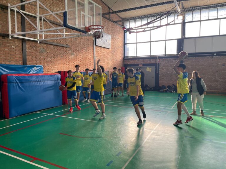 Junior Masculino Lices Frances 74-71 ABVO