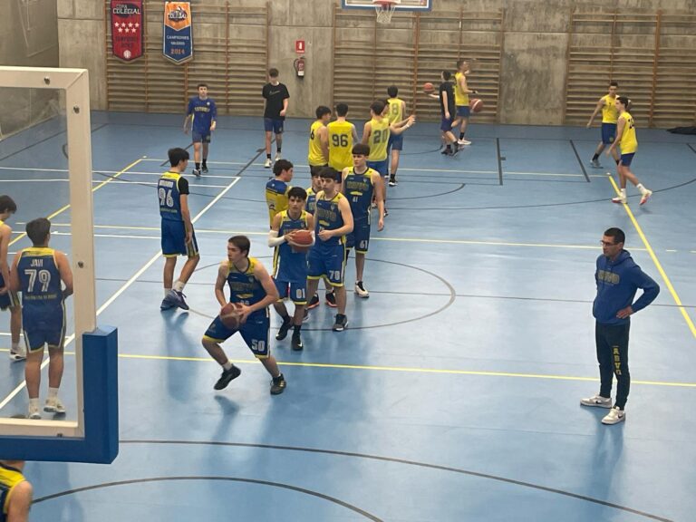 Junior masculino ESTUDIO CD 62-36 ABVO