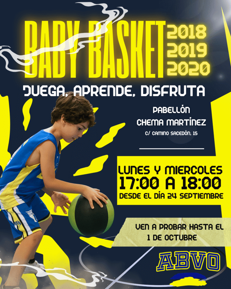 Baby basket 2025-2026