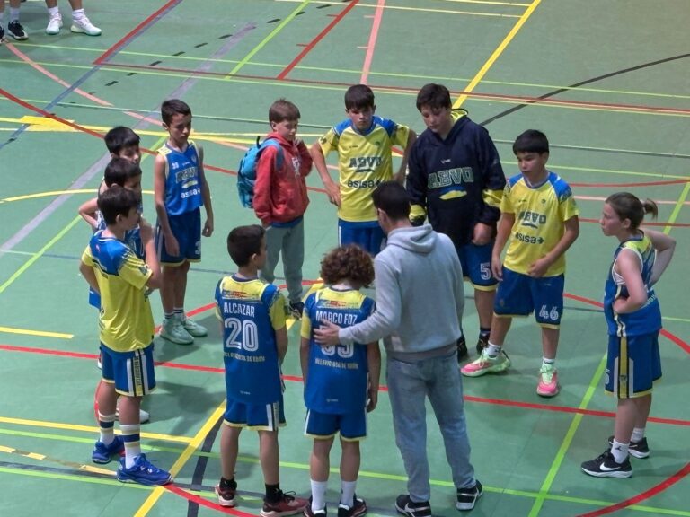 Alevín masculino Lions Basket 4-55 ABVO Azul