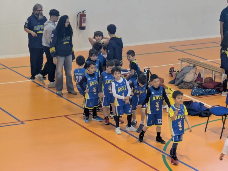 Varios vs ABVO Baby Basket